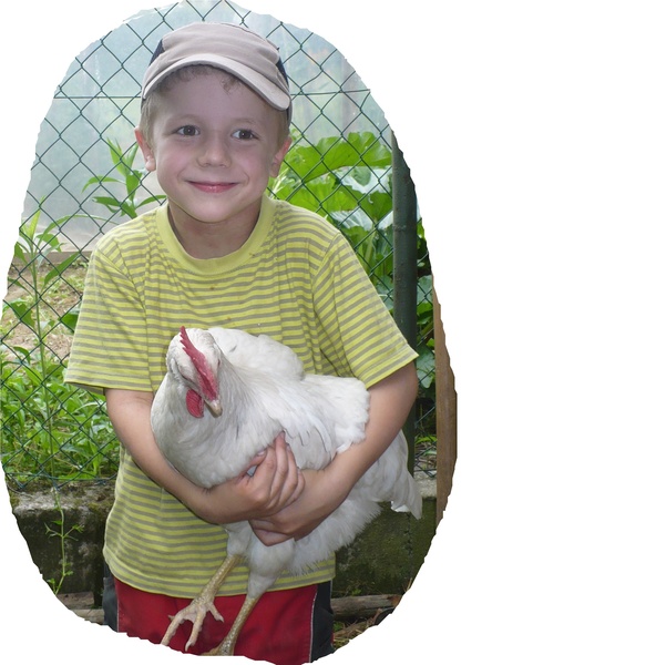 Unterweger Bauernhof 