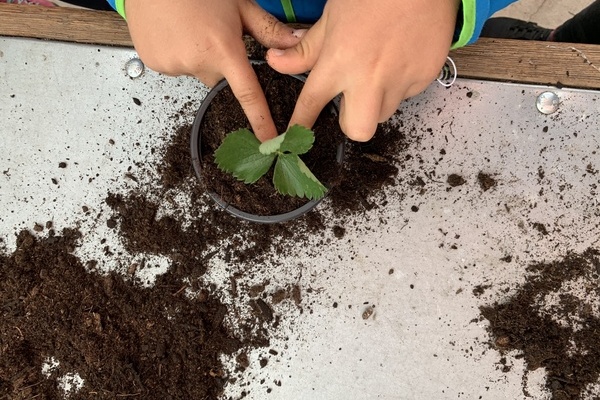 G�rtnerei St�ferle