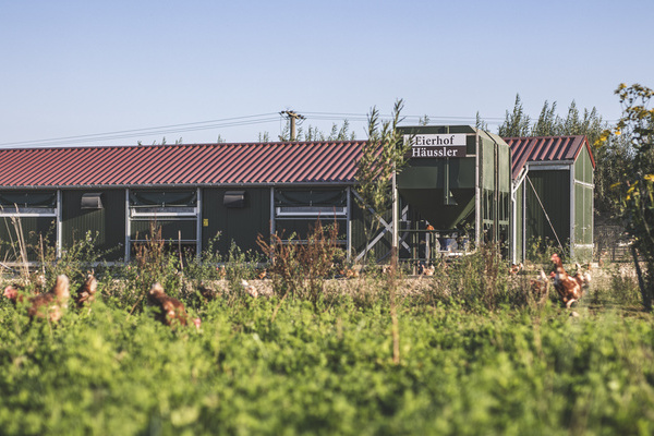Eierhof H�ussler
