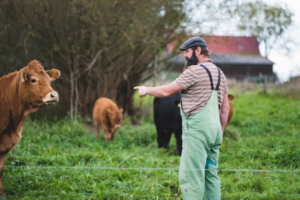 Artenvielfalt Hochstetterhof 