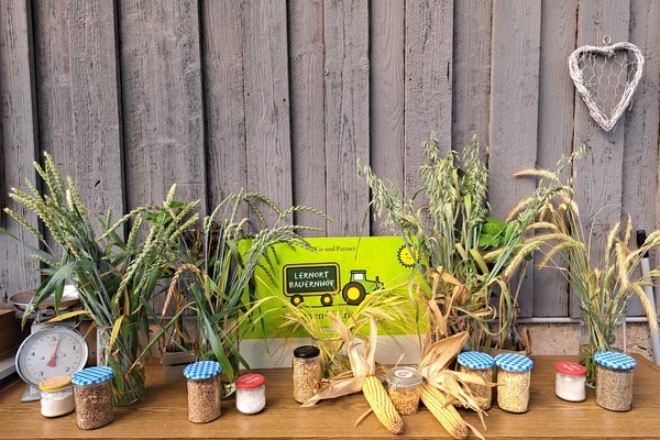 M�ller-Heinrich GbR