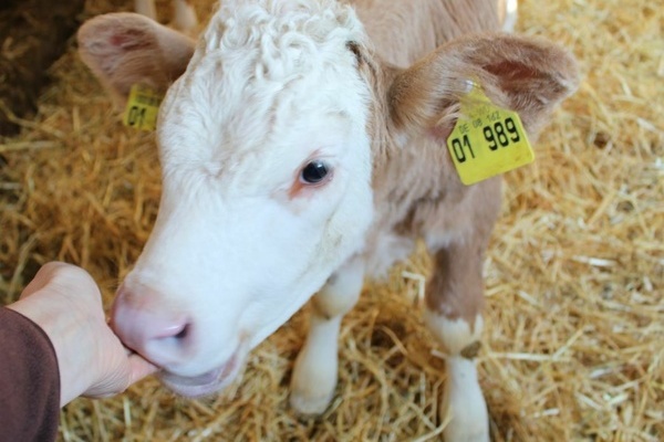 Kobeleshof GbR H. und M. Zwick