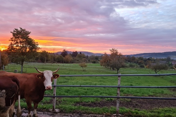 L�ffler Hof, Lechner GbR