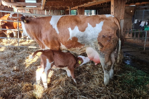 L�ffler Hof, Lechner GbR