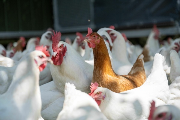 Norbert u. Melanie Steidle