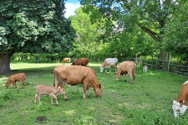 Unterweger Bauernhof 