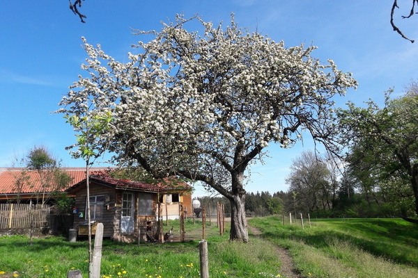 Biohof F��ler GbR