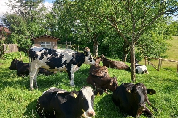 Biohof F��ler GbR