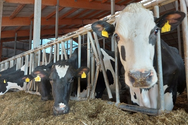 L�nge Agrar-Milch GbR