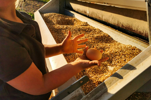 Landwirtschaft Michael Hau�ecker